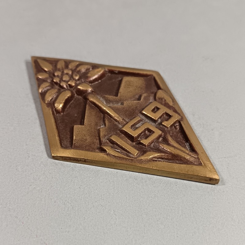 INSIGNE PLAQUE EN BRONZE DU 159 ème RIA 15-9 REGIMENT D'INFANTERIE ALPINE MEQUEE DU COLONEL AU DOS 1968-1970